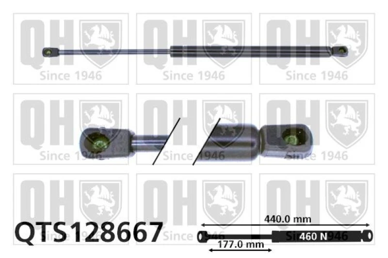 Image of QUINTON HAZELL Tailgate strut QUINTON HAZELL QTS128667