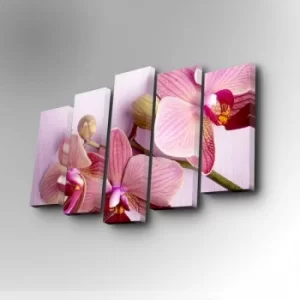 Image of 5PUC-066 Multicolor Decorative Canvas Painting (5 Pieces)