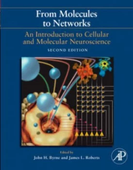 Image of From Molecules to Networks by Ruth Heidelberger Hardback