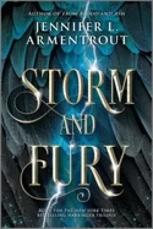 Image of storm and fury