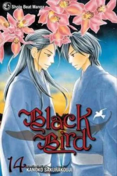 Image of Black Bird. Volume 14 by Kanoko Sakurakouji Book