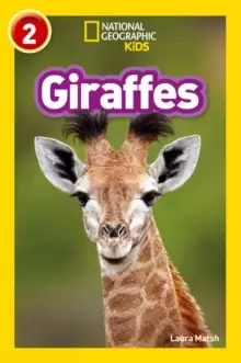 Image of Giraffes : Level 2