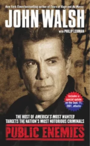 Image of Public enemies by John Walsh