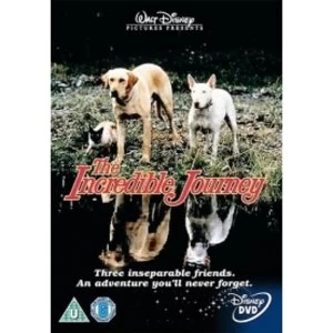 Image of The Incredible Journey DVD