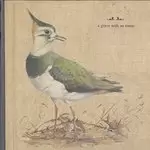 Image of A Grave With No Name - Feathers Wet, Under The Moon (Music CD)