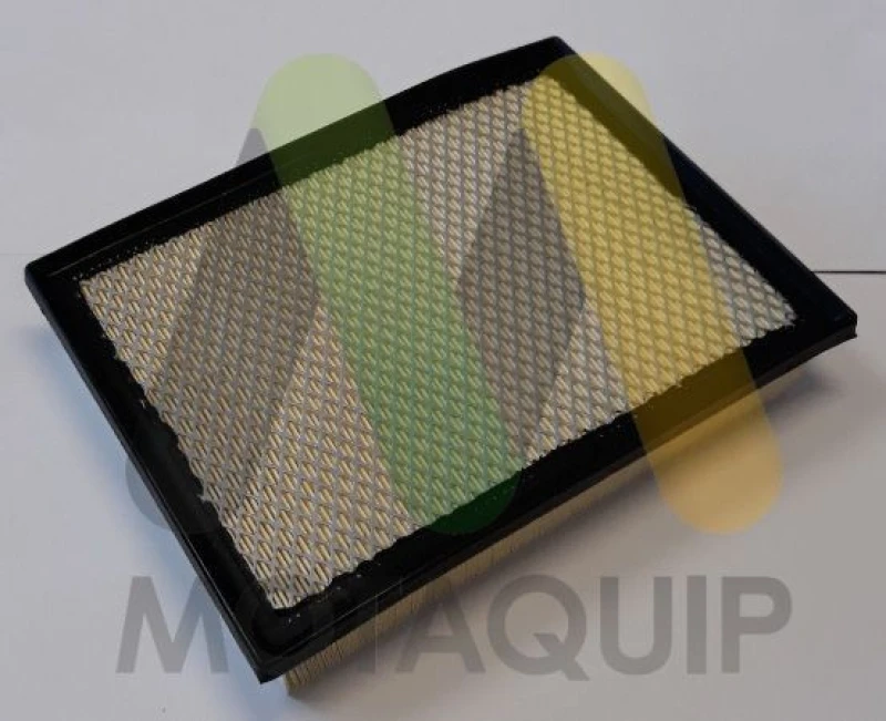 Image of MOTAQUIP Air filter MOTAQUIP LVFA1681