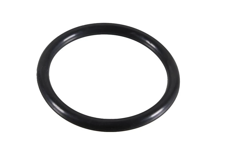 Image of Seal Ring METZGER 2430119