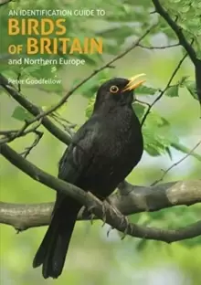 Image of An Identification Guide to Birds of Britain and Northern Europe (2nd edition)