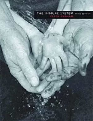 Image of immune system 3rd edition