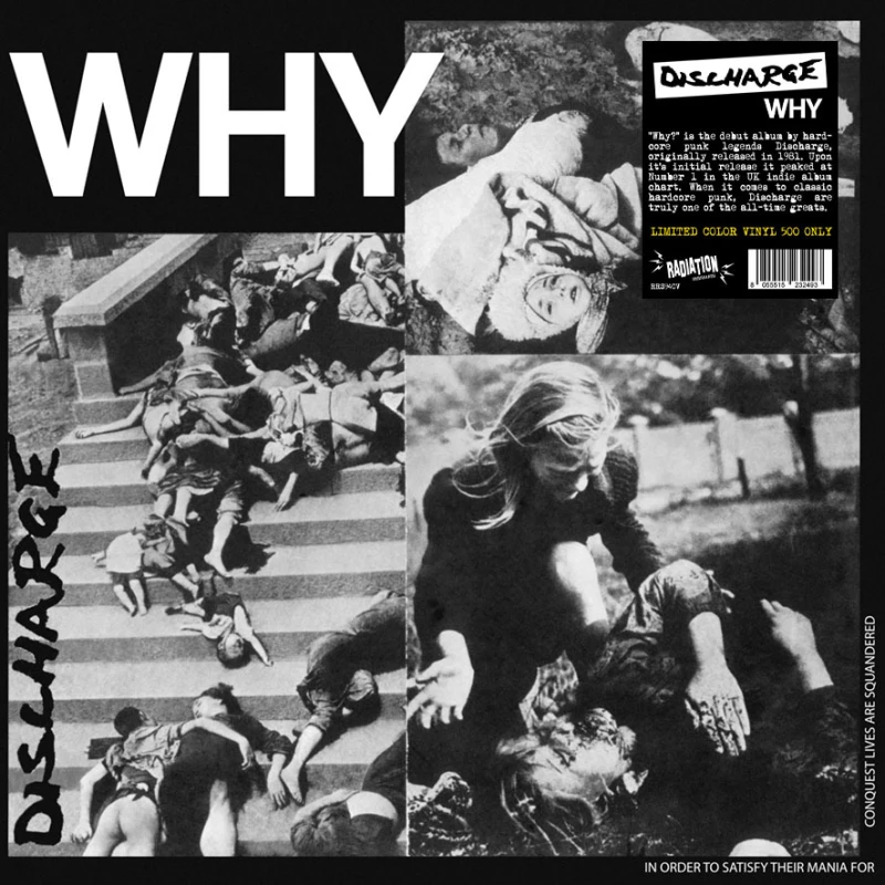 Image of Why Vinyl