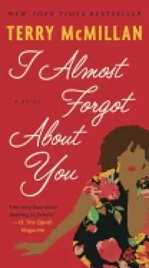Image of i almost forgot about you a novel