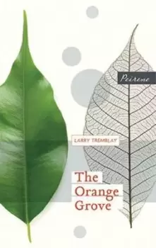 Image of The orange grove by Larry Tremblay