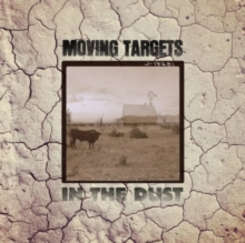 Image of In the dust Vinyl