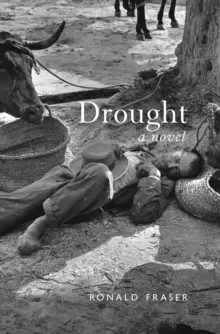 Image of Drought : A Novel