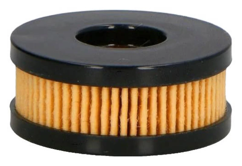 Image of ASHIKA 10-GAS21S Fuel Filter Filter Insert, Liquefied Petroleum Gas (LPG) Fuel filter (9)