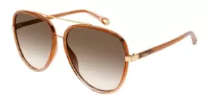 Image of Chloe Sunglasses CH0129S 002