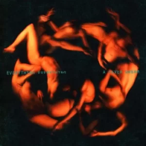 Image of A Fever Dream by Everything Everything Vinyl Album