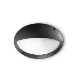 image of Maddi 1 Light Half Diffuser Outdoor Flush Wall Light Black IP66 E27