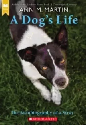 Image of dogs life autobiography of a stray