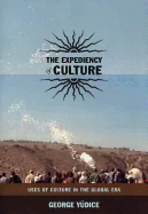 Image of expediency of culture uses of culture in the global era