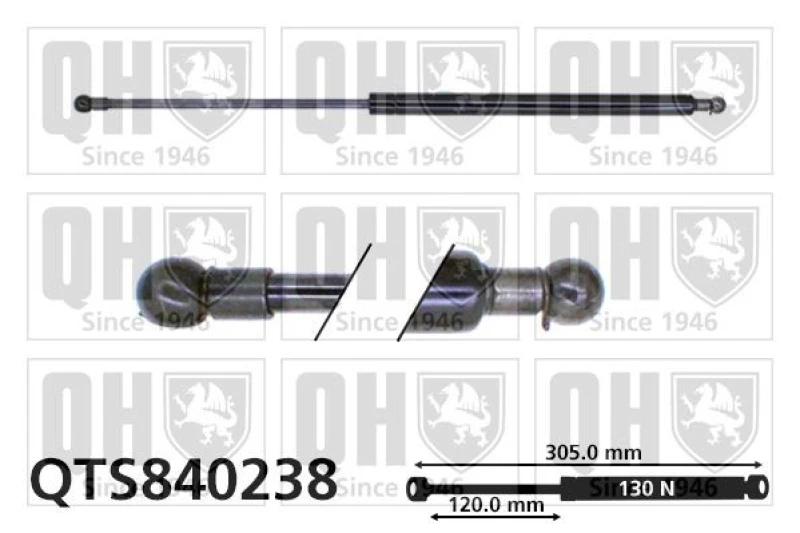Image of QUINTON HAZELL Tailgate strut QUINTON HAZELL QTS840238