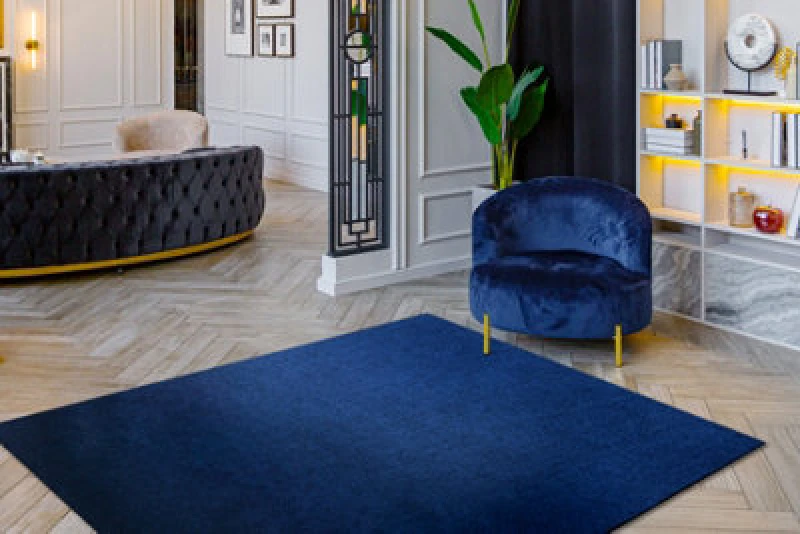 Image of RugsX Carpet Visco Dark Blue 10 Plush, Imitation Of Rabbit Fur 60X100 Cm