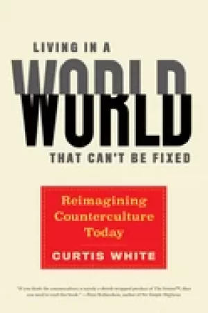 Image of living in a world that cant be fixed reimagining counterculture today