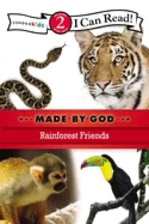 Image of rainforest friends level 2