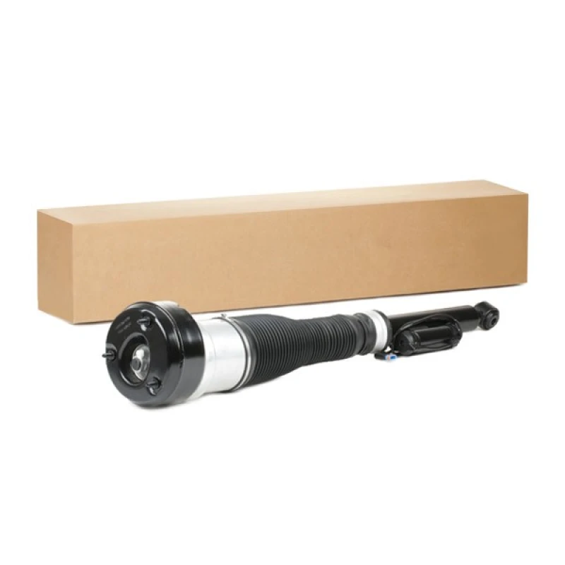 Image of RIDEX Air suspension strut RIDEX 4118A0031