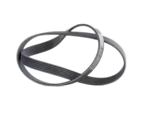 CONTITECH V-ribbed belt VW,AUDI,BMW 6PK1080 60662969,60815412,036145933AJ 036145933J,03L903137D,06B145933,11281715770,11281736717,11281736719,1718671