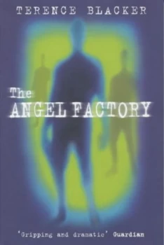 Image of The Angel Factory by Terence Blacker Paperback
