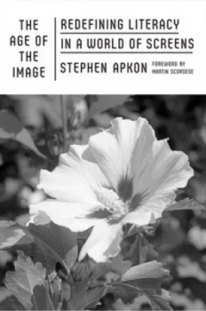 Image of The age of the image by Stephen Apkon