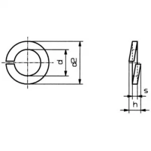 Image of TOOLCRAFT B4 D127:A2K 188666 Split lock rings Inside diameter: 4.1mm M4 DIN 127 Spring steel 100 pc(s)
