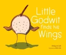 Image of Little Godwit finds his Wings