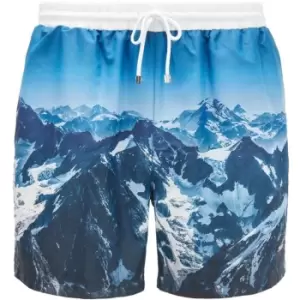 Image of Boss Springfish Shorts - Blue