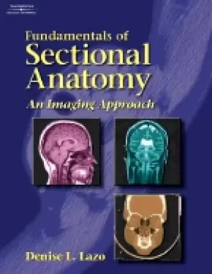 Image of fundamentals of sectional anatomy an imaging approach lazo denise l