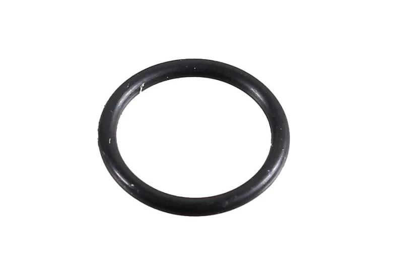Image of Seal Ring METZGER 2430081