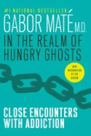 Image of in the realm of hungry ghosts close encounters with addiction