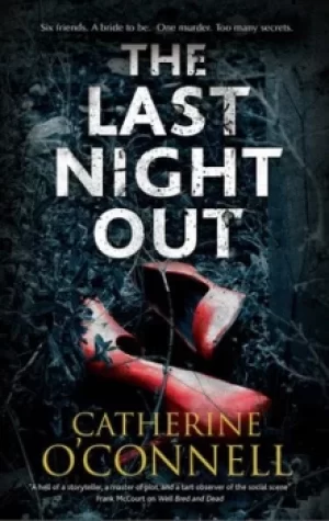 Image of The last night out by Catherine O'Connell