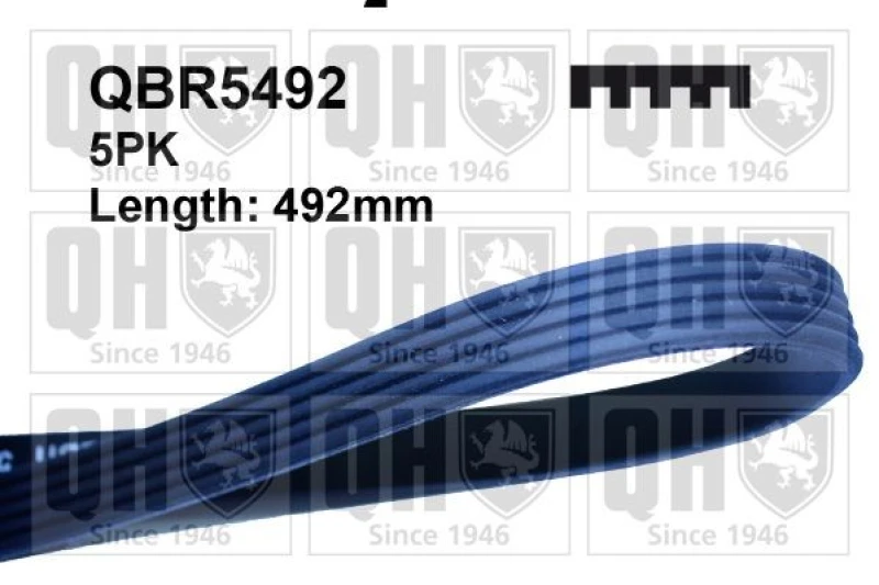 Image of QUINTON HAZELL Serpentine belt QUINTON HAZELL QBR5492