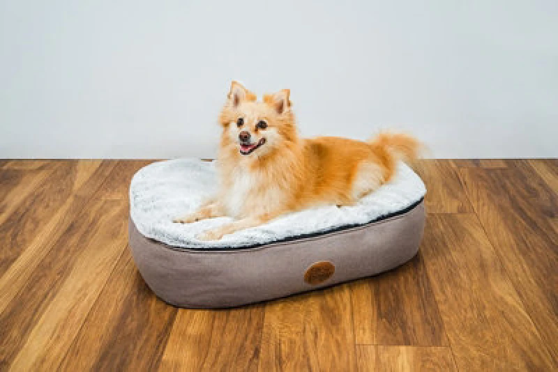 Image of Snug & Cosy Pets The Snug And Cosy Oval Faux Fur 70Cm X 50Cm X 15Cm