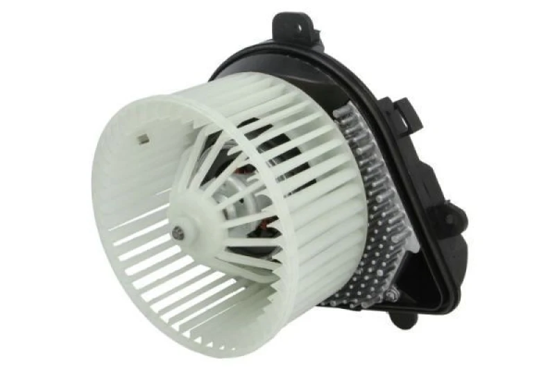 Image of THERMOTEC Blower motor THERMOTEC DDC016TT