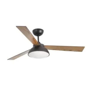 Rodas LED Brown Ceiling Fan with DC Motor Smart - Remote Included, 3000K