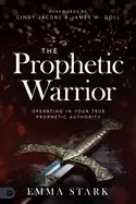 Image of prophetic warrior operating in your true prophetic authority