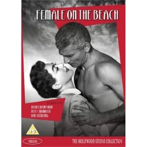 Image of Female on the Beach DVD