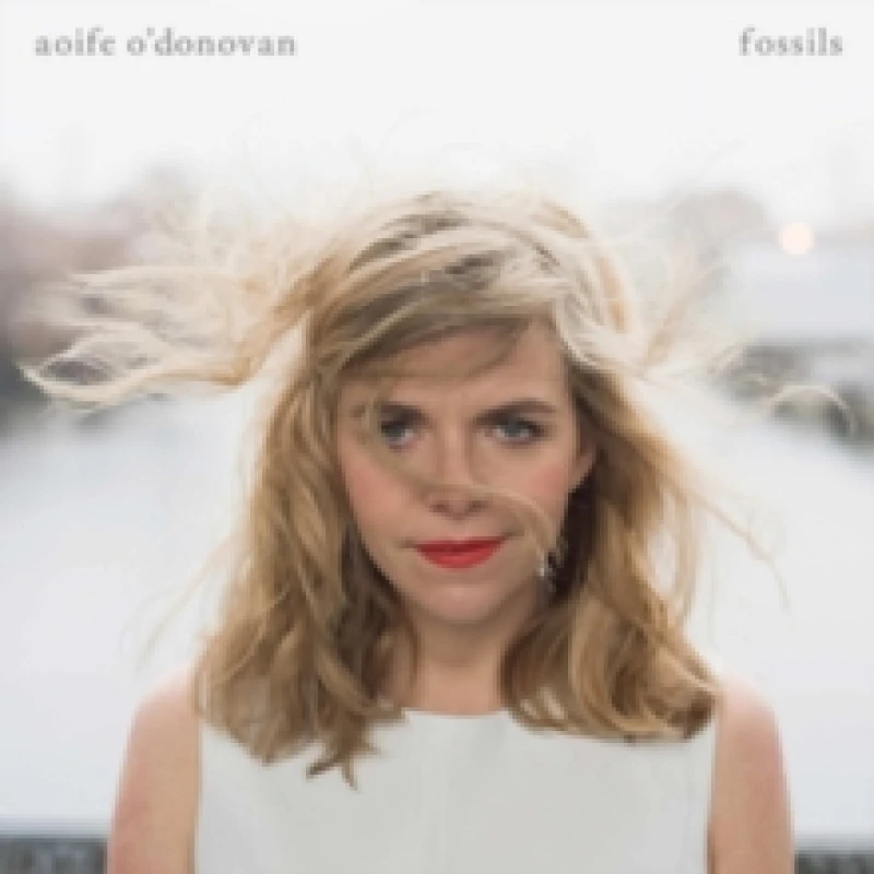 Image of Fossils CD / Album