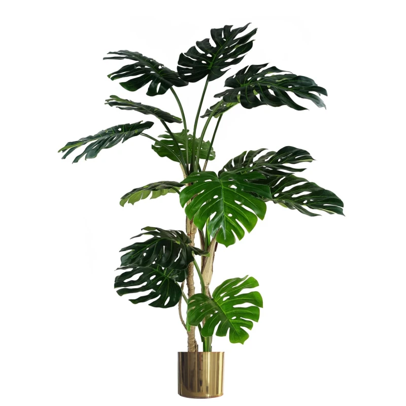 Image of N/A 150cm (5ft) Luxury Monstera Plant Black Pot Gold Metal Planter