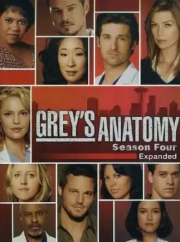 Image of Grey's Anatomy: The Complete Fourth Season - DVD - Used