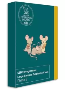 Image of SEND Programme: Large Sensory Grapheme Cards : Phase 5