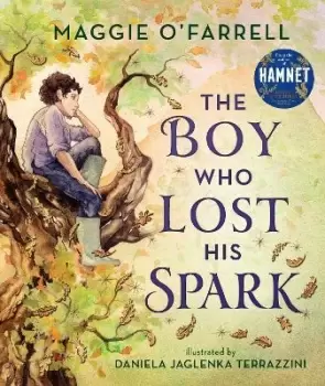 Image of The Boy Who Lost His Spark by Maggie O'Farrell